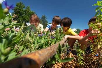 Nov turistični produkt »Skrivnostna Bistra« - Kjer si roko podajo narava, zgodovina in kulinarika