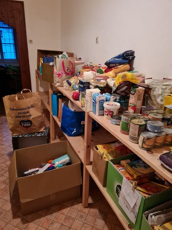 Dobrodelnost v Vrtcu Borovnica