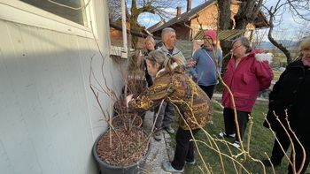 Semenjava ponovno med nami Semenjava ponovno med nami