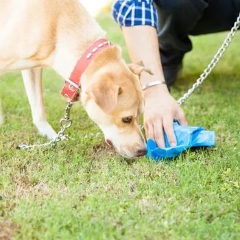Neodgovorni lastniki psov, njihovi iztrebki in nejevolja občanov