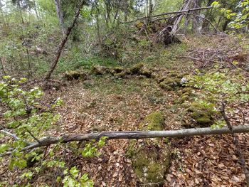 Sledovi treh prastarih svetišč pri Stari Vrhniki