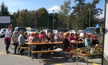 Kostanjev piknik v Dragomerju