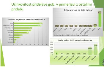 Kako dobro in trajnostno živeti v času podnebne in prehranske krize?