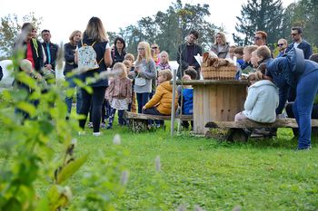 Družinsko dopoldne v Bistri