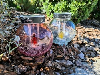 Nasvet: Kako se lotiti čiščenja in krasitve grobov?