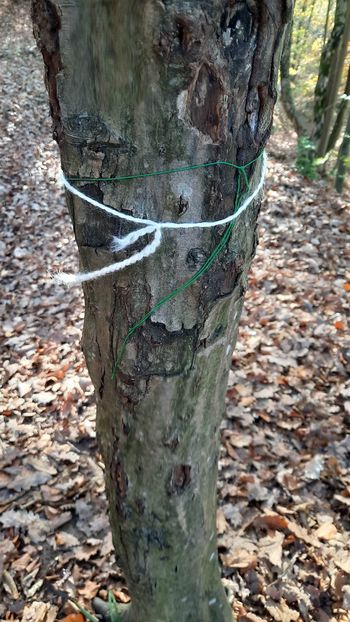 "Razbita" pravljična pot Razbita buča