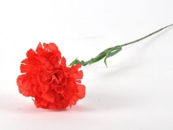 Čestitka ob 1. maju – mednarodnem prazniku dela