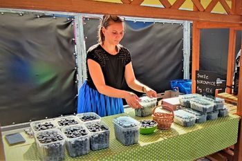 Javno povabilo za izbor izvajalca prireditev Praznik Borovnic 2025 in 2026