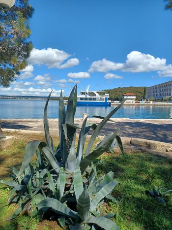 Pomladne aktivnosti v DU Polhov Gradec