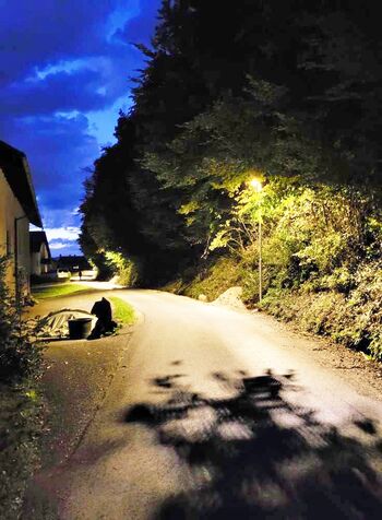 Javna razsvetljava na cesti Pod goro