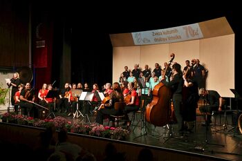 Sedemdeset let delovanja Zveze kulturnih društev Vrhnika