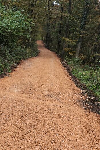 Ureditev dela pohodniško-kolesarske poti med Pakom in Goričico Ureditev dela pohodniško-kolesarske poti med Pakom in Goričico
