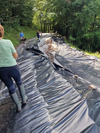 Pospešeno izvajanje del na sanaciji cest in plazov po poplavah