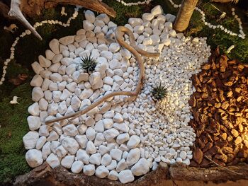 Vabljeni na ogled jaslic na Vrzdenec