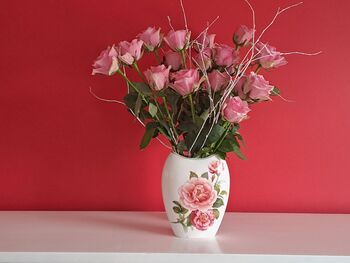 Dragica Krašovec - 70-letnica Dragica Krašovec - 70-letnica