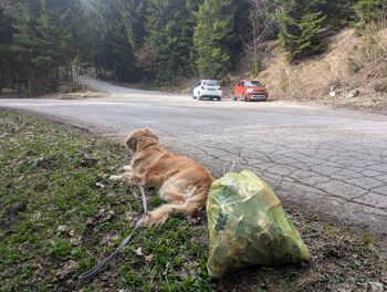 Čista narava je ogledalo skupnosti