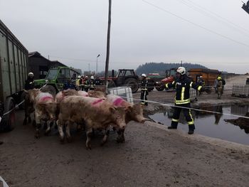 Vaja – požar fotovoltaike, kmetija Grom – vaja