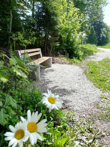 Nove klopi na treh lokacijah