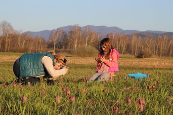 Novi uspešni sekciji