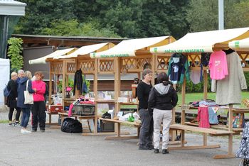 Bolšjak: zakladnica za zbiratelje