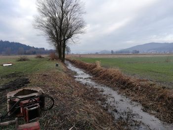 Ogroženemu kačjemu pastirju urejajo habitat