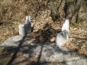 Kam so izginili leseni deli klopi?