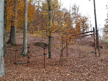 Trim steza hobotnica privabila otroke in rekreativne športnike