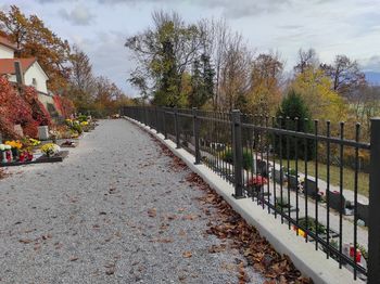 3.del - Nadaljevanje obnove pokopališča Dragomer