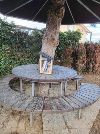 Knjigobežnice že v občini Knjigobežnice že v občini