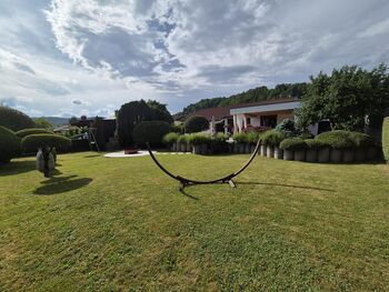 Letos na ocenjevanju za lepše okolje izbrali tudi najlepšo ulico