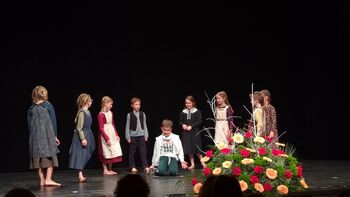 »Nageljčki« navdušili na Območni folklorni reviji »Nageljčki« navdušili na Območni folklorni reviji