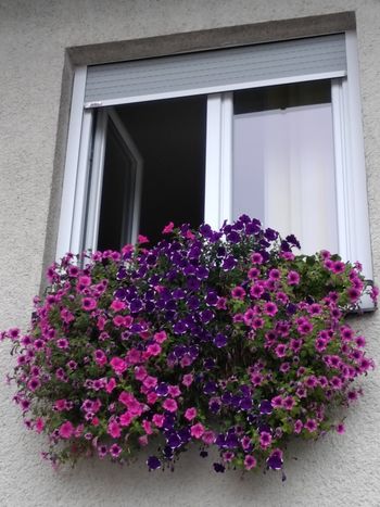 En kanček nostalgije