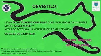 Akcija sterilizacij in kastracij lastniških muck v občini Sevnica 