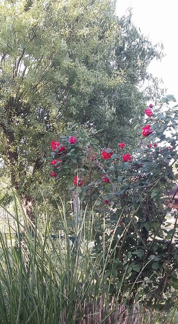 Občinsko ocenjevanje krajev Moja dežela, lepa in gostoljubna