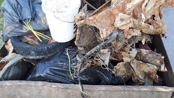 Čistilne akcije po občini Sevnica  potekajo po navodilih 