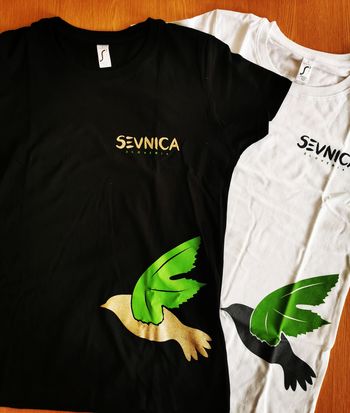 AKCIJSKA CENA MAJIC: 6,30 € ( do razprodaje zalog)