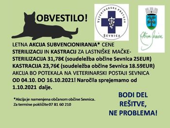 Skrb za živali - akcija sterilizacij in kastracij lastniških muc v občini Sevnica 