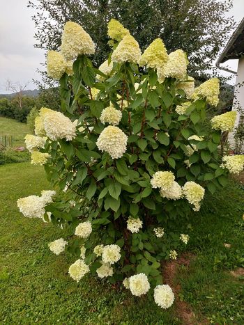 Projekt Moja dežela, lepa in gostoljubna 2023/ državna komisija pride na ogled tudi v Sevnico