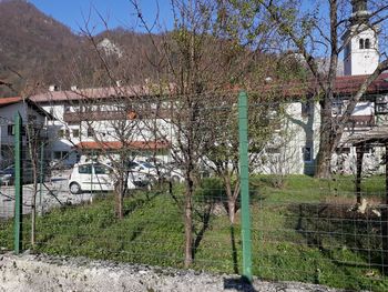 PRIDOBLJENE NOVE POVRŠINE ZA UPORABNIKE TRŠKEGA JEDRA