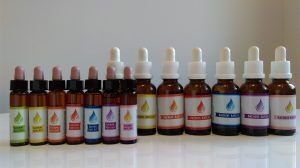 Izobraževanje preko spleta v živo: Spoznajte Bachovo cvetno terapijo