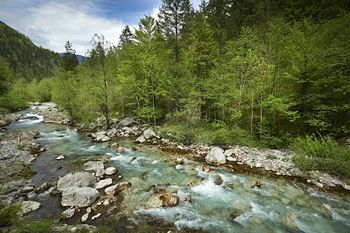 Kemijsko stanje površinskih voda v Sloveniji