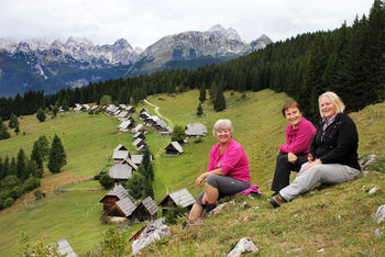 Sončki na pokljuških planinah