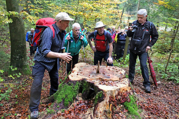 Sončki na Novaški gori nad Rakitno