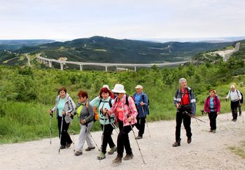 Sončki ponovno na Kraškem robu