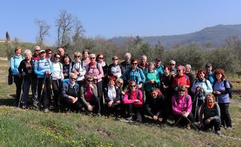 Sončki v Slovenski Istri