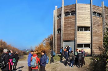 Sončki v Naravnem rezervatu Škocjanski zatok