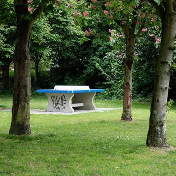 Povabilo: Frankolovo open 2019 (odprt turnir v namiznem tenisu)