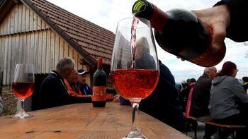 Martinov pohod od pletenke do Malkovških goric