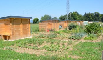 PREDAVANJE: Priprava na spomladansko sajenje