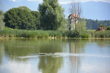 Delavnica ob 2. javnem pozivu LAS Za mesto in vas – Medvode